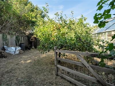 Picture 24